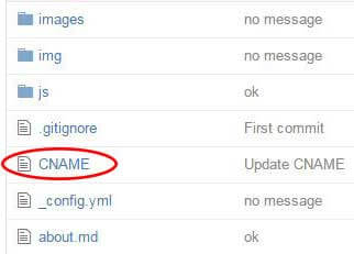 CNAME in repository