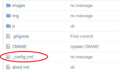 _config.yml in repository